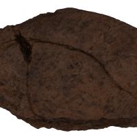 KH.19.O.351.png