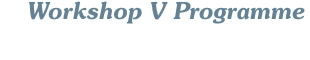 Workshop V Programme