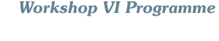 Workshop VI Programme